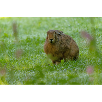 P1041715-RW2_DxO_DeepPRIME.JPG (Erich)