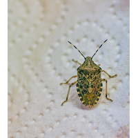 2018-08-23 16-44-46 (C).JPG (Erich)