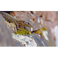 Ich war wieder...
(Erich) 2026-03-09 16-55-18 (.JPG (Erich)