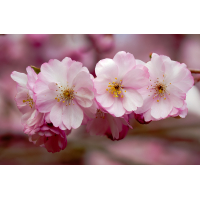 2026-03-23 16-50-17.JPG (Erich)