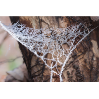 Oma's Häkeldecke
(Harmonie) IMG_4647_B.minimal-.jpg (Harmonie)