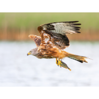 _1357004-DxO_DeepPRIME-XD3-Bearbeitet-Bearbeitet-Kopie.jpg (Enrico)