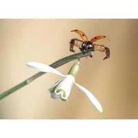 P2260326NP.jpg (wilhil)