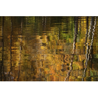 Der Herbst ist zurück...
(jo_ru) IMG_1616_rs.JPG (jo_ru)