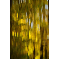 Kurze Striche
(jo_ru) IMG_1629_rs3.JPG (jo_ru)