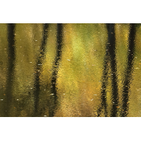 IMG_1582_11prsbq8.JPG (jo_ru)