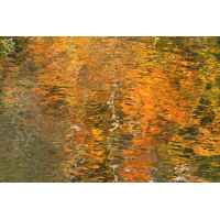 IMG_1586_rbq7.JPG (jo_ru)