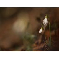 20260216-125518-002.jpg (HärLe)