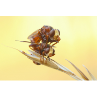 2026 6T7A8736 mf.jpg (lincoln-avatar)