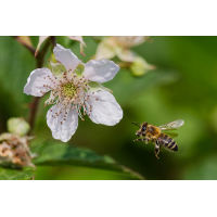 DN4A8413_DxO-klein neu.jpg (Steffen123)