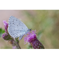 DN4A5630_DxO Klein.jpg (Steffen123)